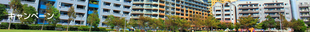 キャンペーン